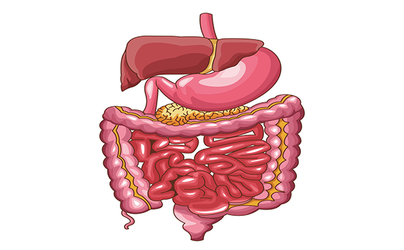 ULCERATIVE COLITIS